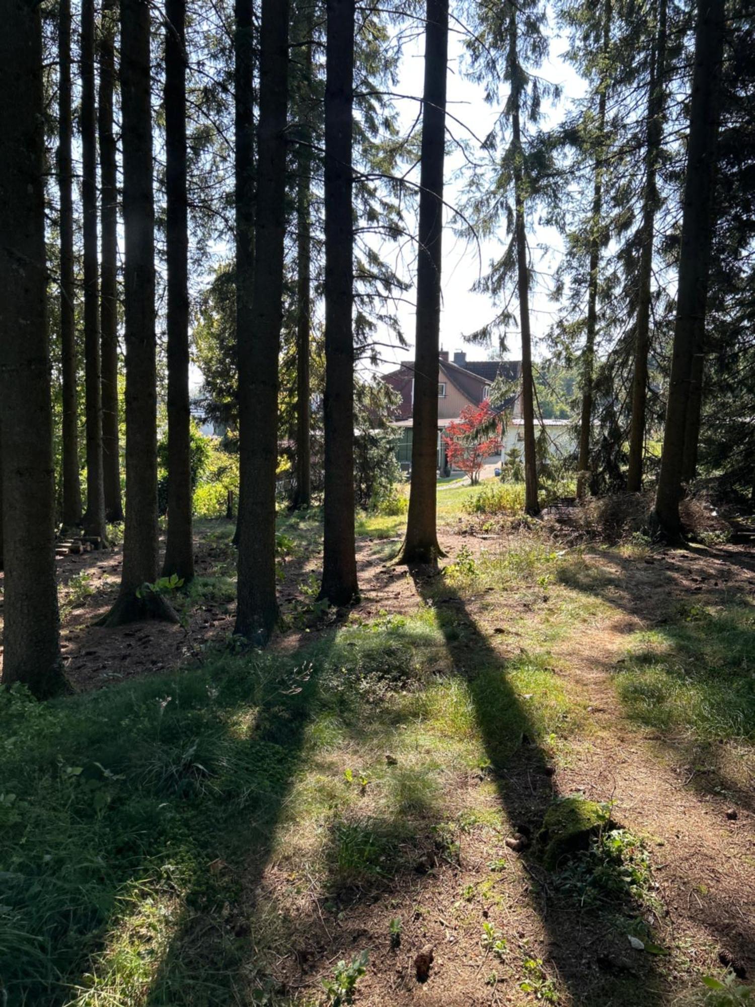 Bergwiesenblick38678 Клаустал-Целерфелд Екстериор снимка